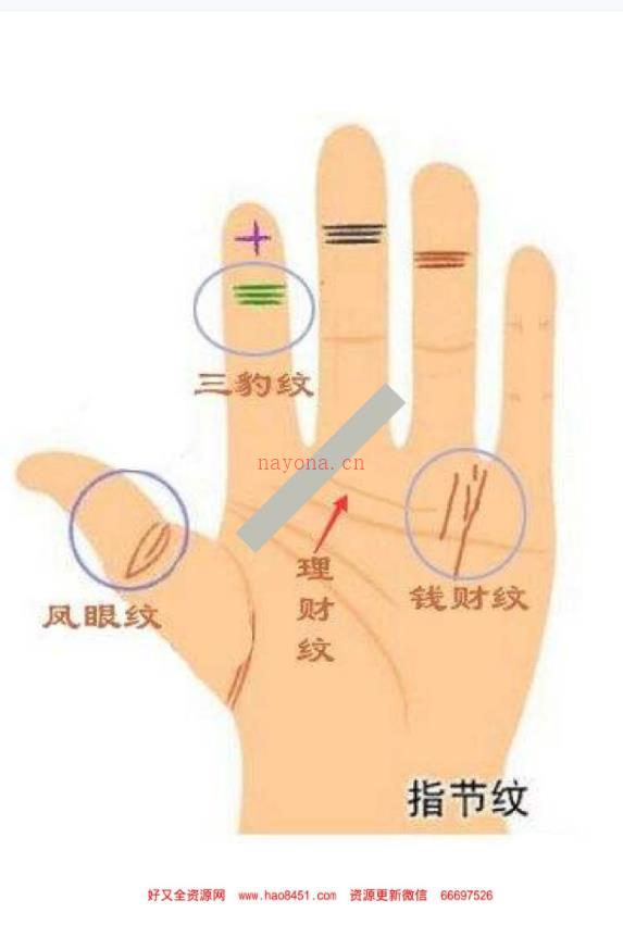 黄瑞海手相弟子班教学案例273页，200个案例百度网盘资源