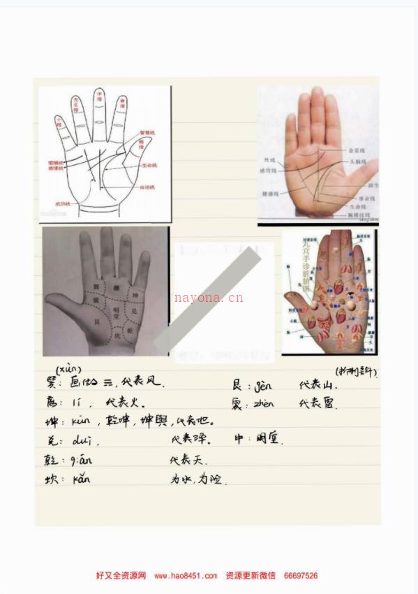 黄瑞海手相弟子班教学案例273页，200个案例百度网盘资源