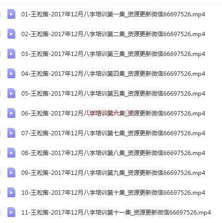 王淞策2017年12月道家八字视频21集，从初级开始讲，轻松学八字，后面有实战案例。道家八字速成，道家八字秘法百度网盘资源