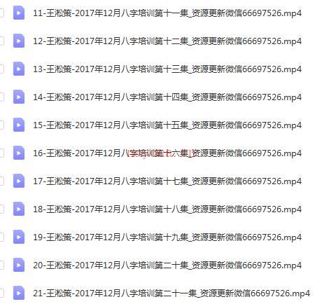 王淞策2017年12月道家八字视频21集，从初级开始讲，轻松学八字，后面有实战案例。道家八字速成，道家八字秘法百度网盘资源