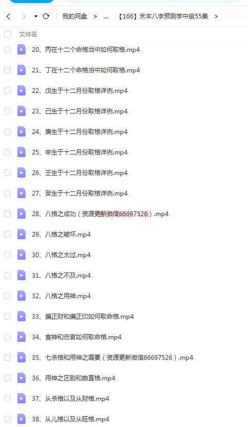 禾丰八字预测学中级55集百度网盘资源