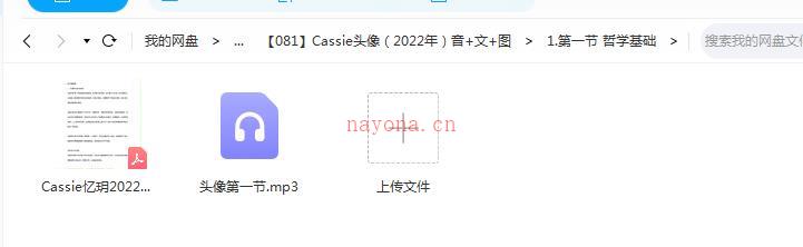 Cassie头像（2022年）音+文+图百度网盘资源