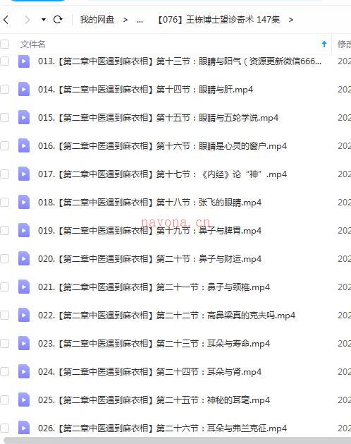 王栋博士望诊奇术 147集百度网盘资源