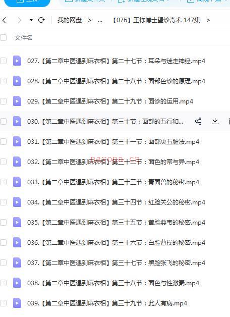 王栋博士望诊奇术 147集百度网盘资源