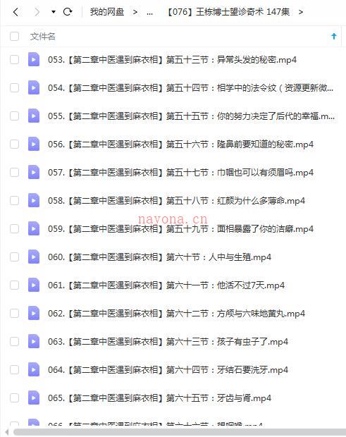 王栋博士望诊奇术 147集百度网盘资源