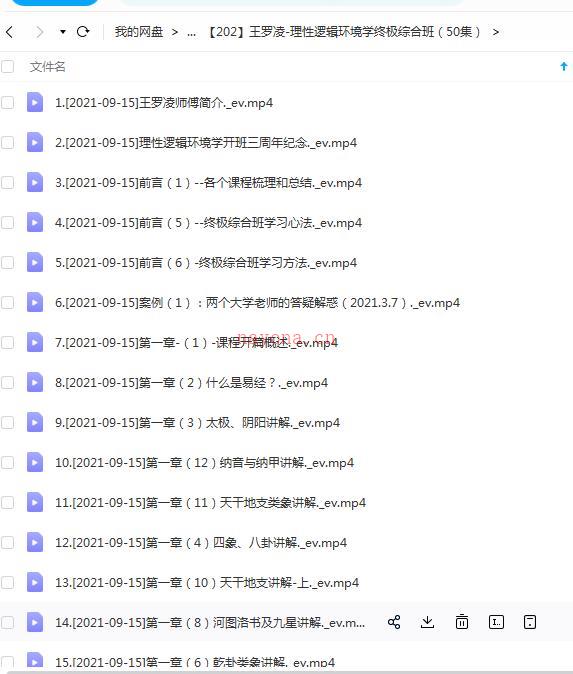 王罗凌-理性逻辑环境学终极综合班（50集）百度网盘资源