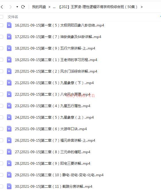 王罗凌-理性逻辑环境学终极综合班（50集）百度网盘资源