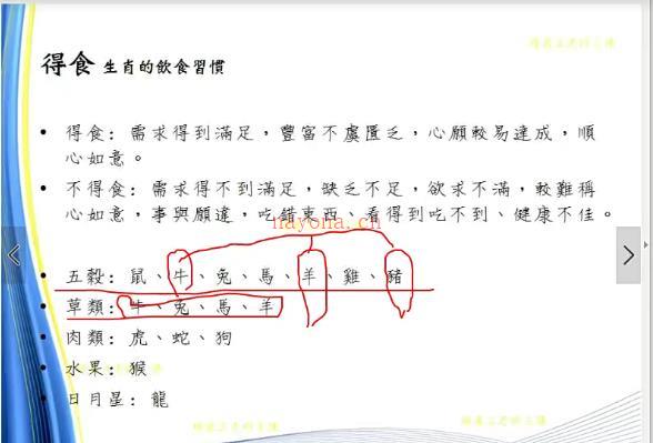 杨国正最新生肖姓名学网络班视频 13集+2套讲义百度网盘资源