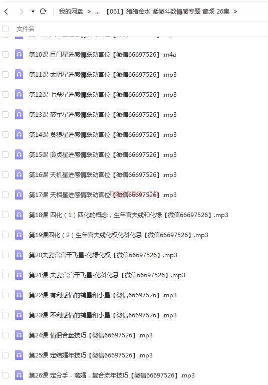 猪猪金水 紫微斗数情感专题 音频 26集百度网盘资源