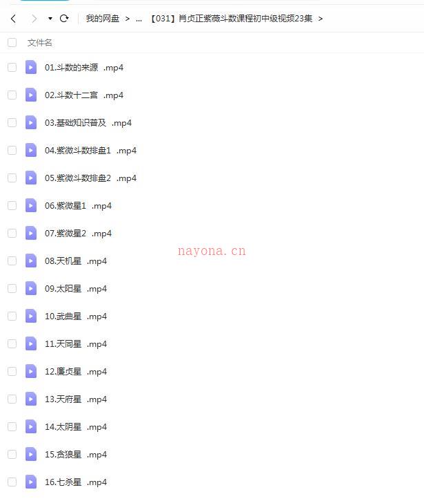 肖贞正紫薇斗数课程初中级视频23集百度网盘资源