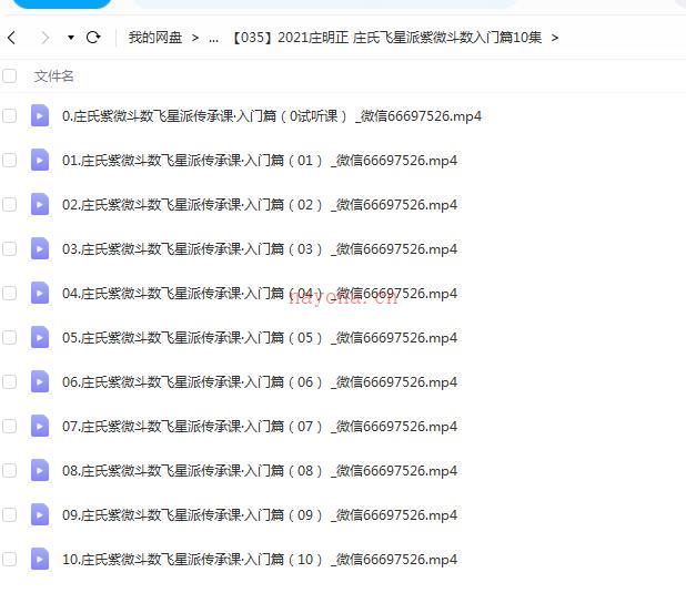 2021庄明正 庄氏飞星派紫微斗数入门篇10集百度网盘资源