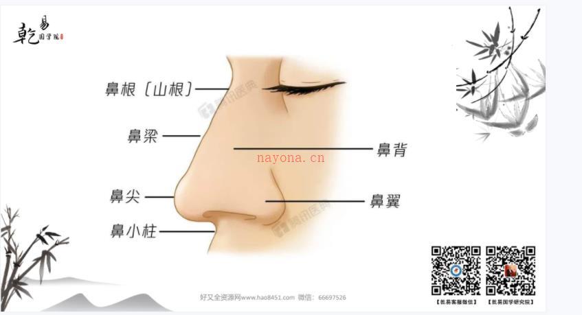 李计忠2022年面相百度网盘资源