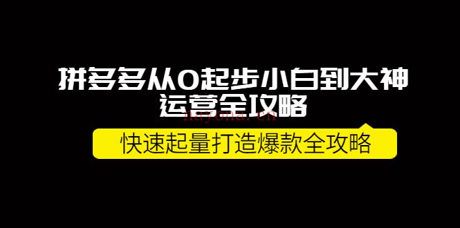 119.拼多多从0起步小白到大神运营全攻略（威哥） 百度网盘资源