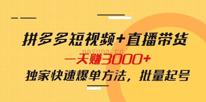 【电商上新】139.泓盛-娜姐·拼多多视频带货项目 百度网盘资源