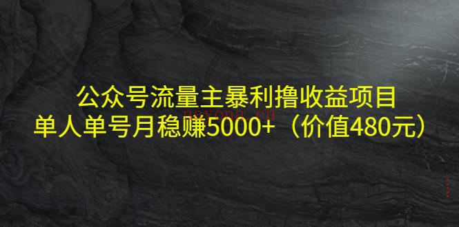 054.公众号流量主暴利撸收益项目 百度网盘资源