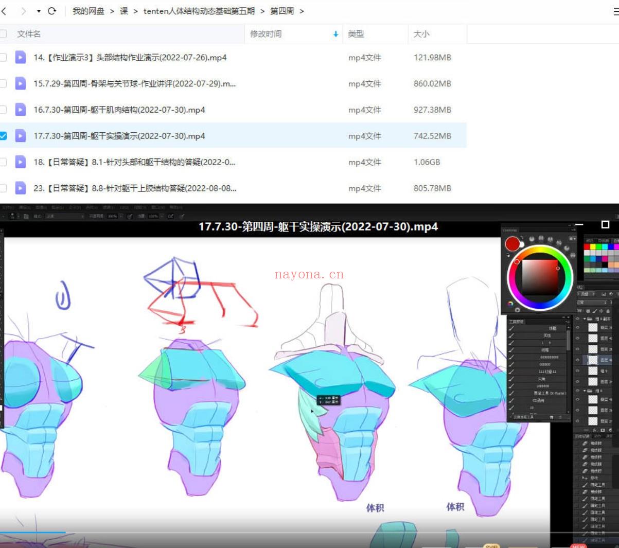 【设计上新】397.tenten云2022年人体结构动态基础第五期【画质高清有课件没笔刷】 百度网盘资源