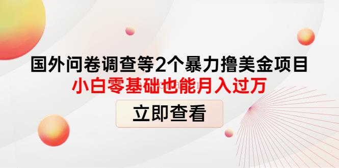 077.国外问卷调查等2个暴力撸美金项目，小白零基础也能月入过万 百度网盘资源