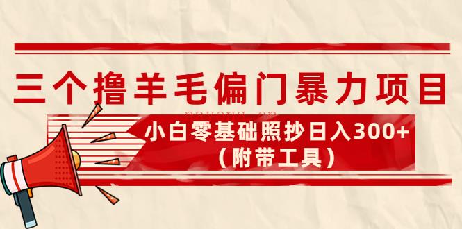 099.外面卖998的三个撸羊毛偏门撸金项目，小白零基础照抄日入100+ 百度网盘资源