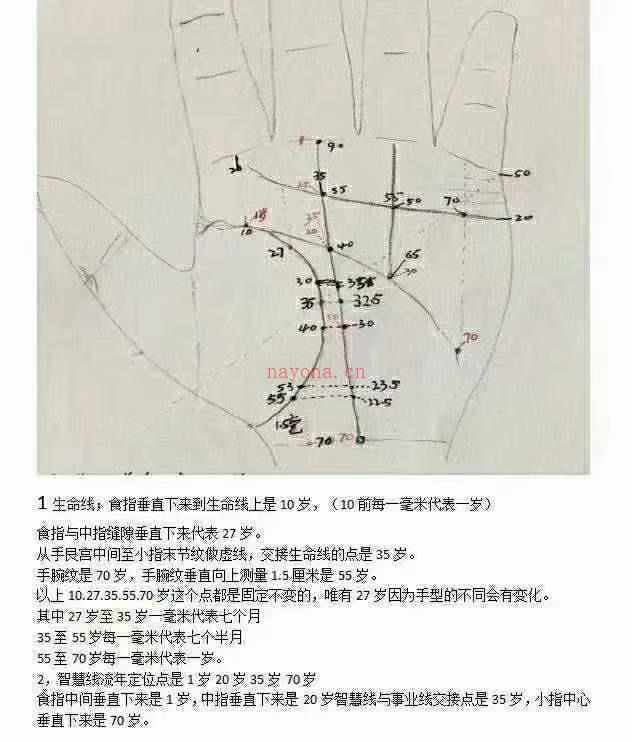 随缘手相 电子版 百度网盘资源