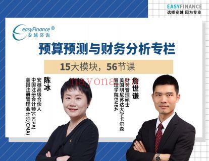 《安越咨询-预算预测与财务分析实战训练营》】 百度网盘资源