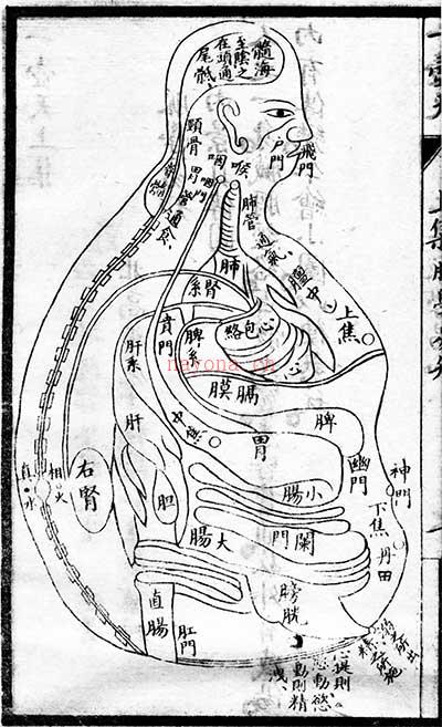 中医好书：一壶天原版古籍百度网盘资源