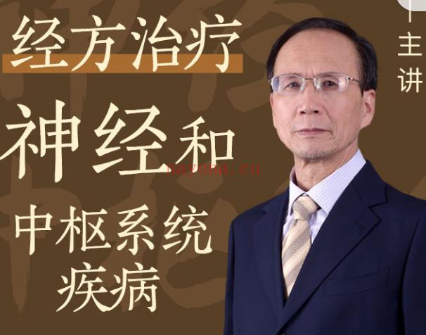 S1729王付教授经方治疗神经和中枢系统疾病】 百度网盘资源