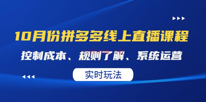 119.10月份拼多多线上直播课程 百度网盘资源