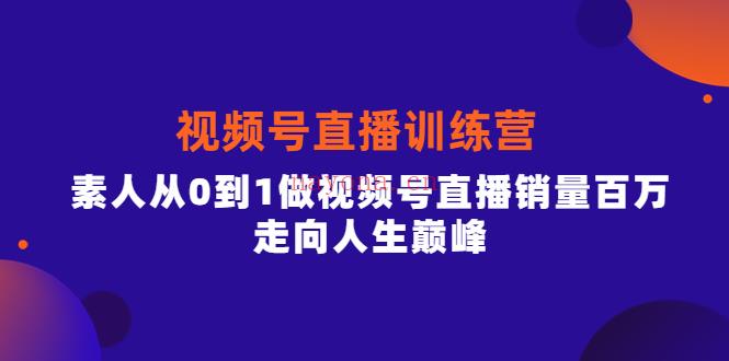 【电商上新】053.行动派·视频号直播训练营，素人从0到1做视频号直播带货的绝佳机会 百度网盘资源