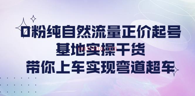 1082.0粉纯自然流量正价起号（大付运营） 百度网盘资源