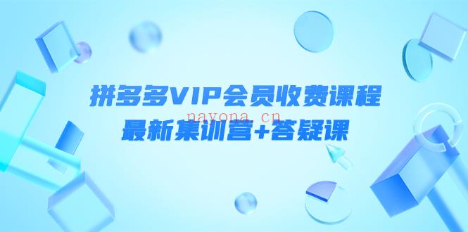 110.拼多多VIP会员课程 百度网盘资源