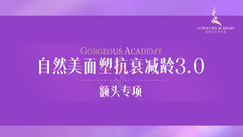 《自然美形象学院-面塑抗衰减龄课3.0额头专项塑型》】 百度网盘资源