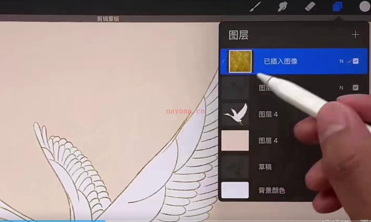 【设计上新】105.Procreate绘画课 百度网盘资源