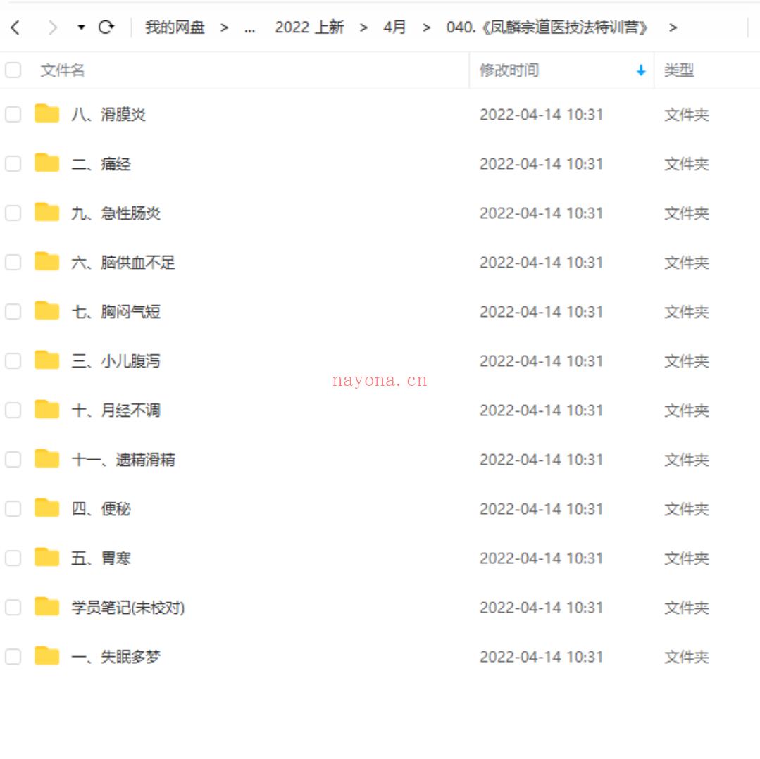 040.《凤麟宗道医技法特训营》 百度网盘资源