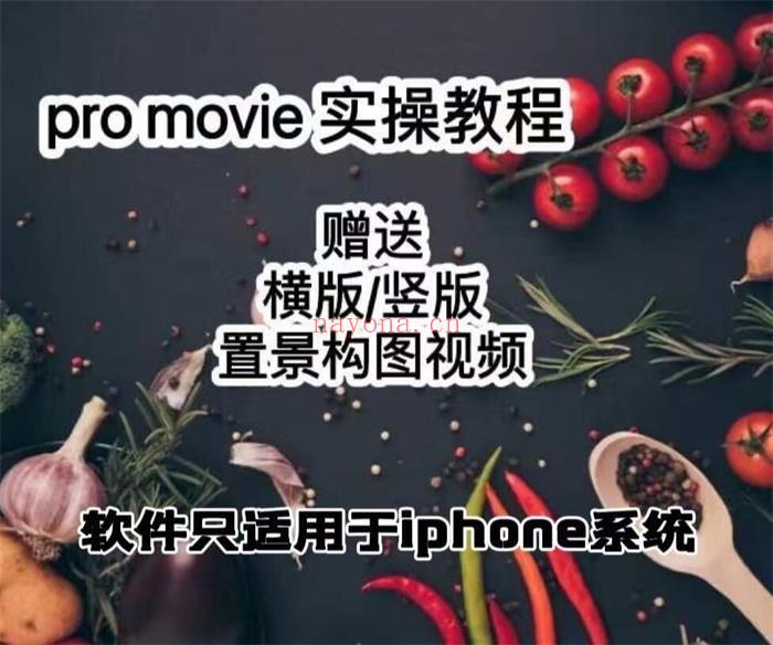 【短视频抖店蓝海暴利区1.0】【漆十二《美食摄影promovie实操高手课》】 百度网盘资源