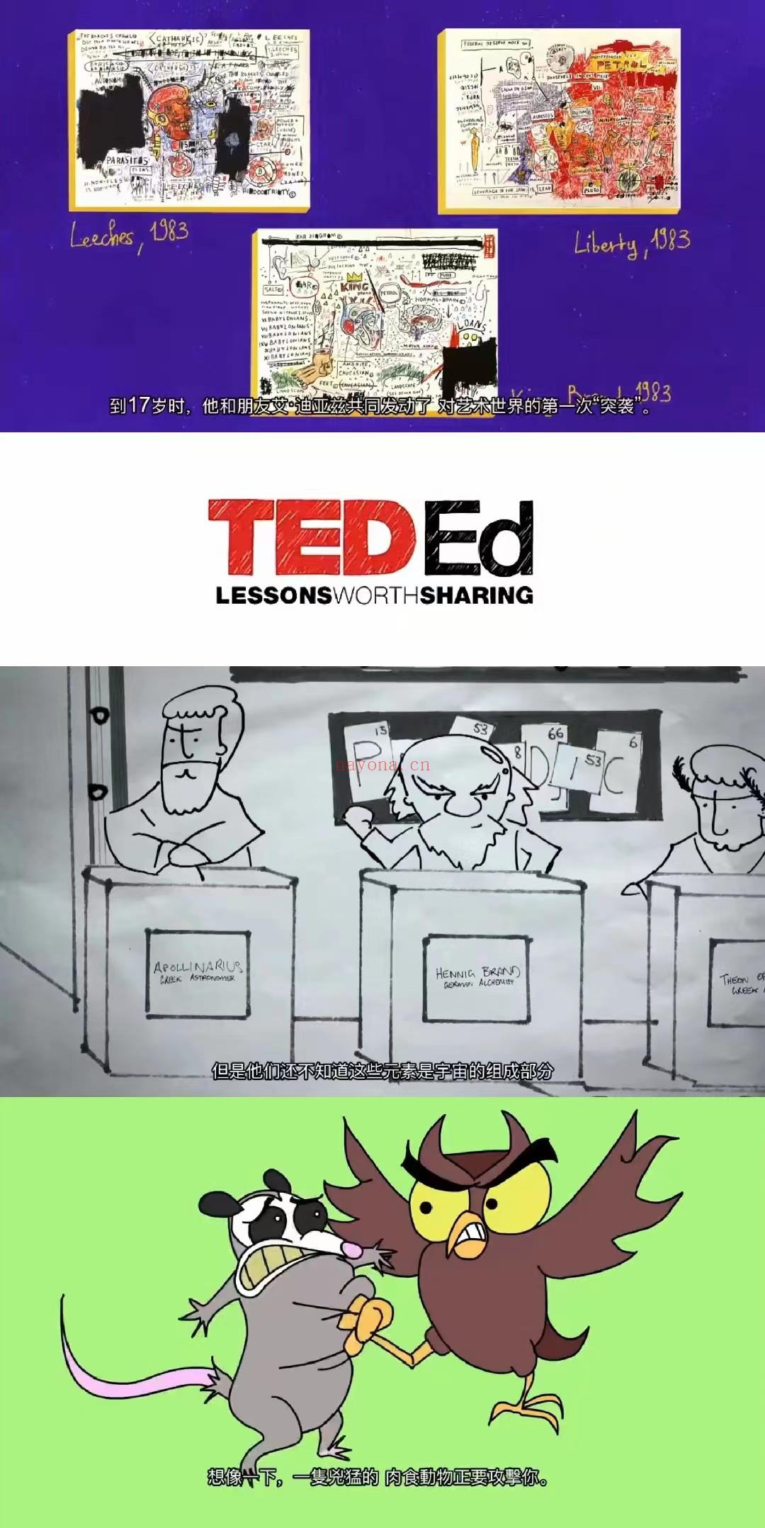 【亲子上新】TED ED《你应该知道的知识系列》 百度网盘资源