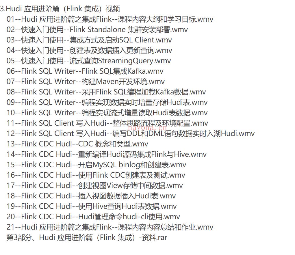 【IT上新】15.数据湖架构开发Hudi 2022 百度网盘资源