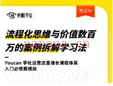 【9.9[红包]·《流程化思维与价值数百万的案例拆 百度网盘资源