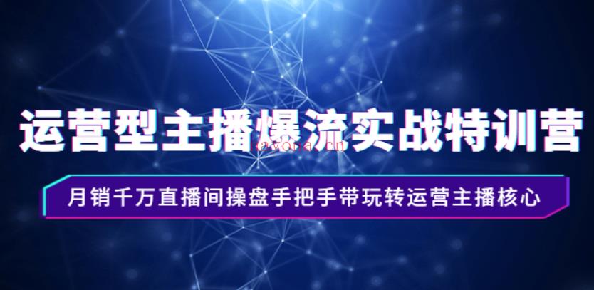 08.慧慧：运营型主播爆流实战特训营，月销千万间操盘手把手带玩转运营主播核心 百度网盘资源