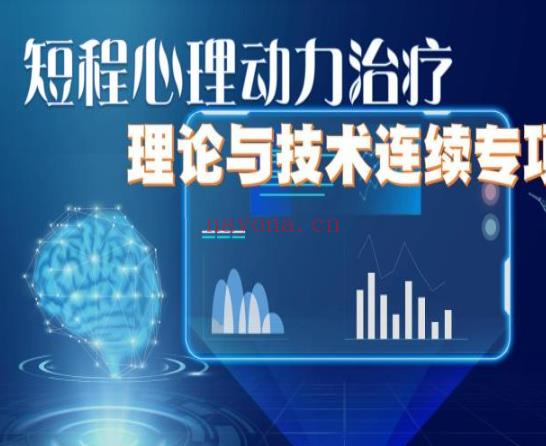 S1946短程心理动力治疗理论与技术连续专项培训 2021】 百度网盘资源