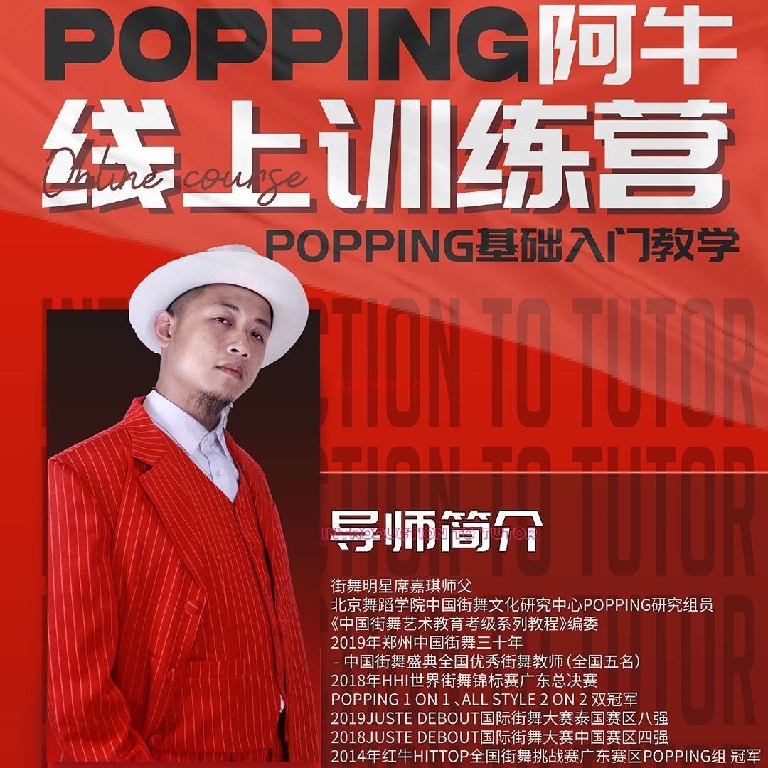 《Z6073-POPPING零基础入门课程》百度网盘资源