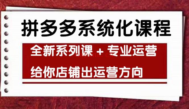 043.车神陪跑，拼多多系统化课程百度网盘资源