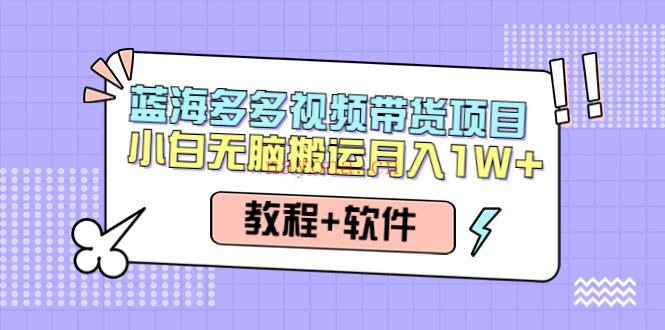 094.人人都能操作的多多视频带货项目，无脑搬运月入10000+百度网盘资源