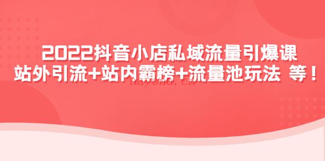 1137.2022抖音小店私域流量引爆课百度网盘资源