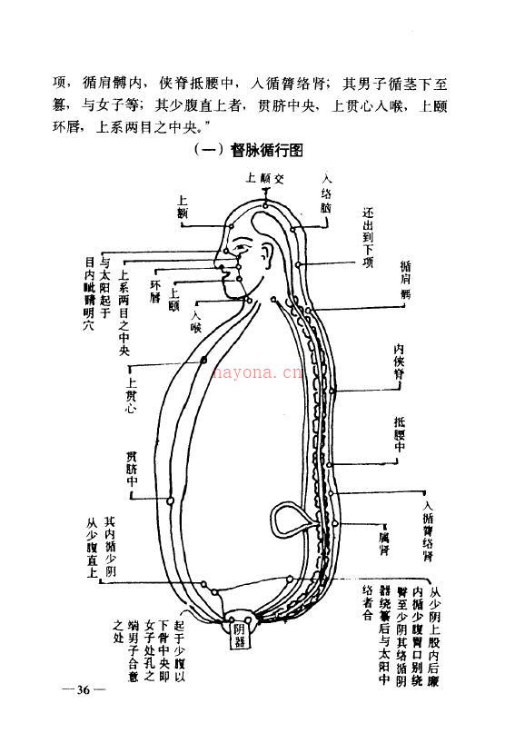 丹山隐士 向焕伦《中华传统养生秘笈》百度网盘资源