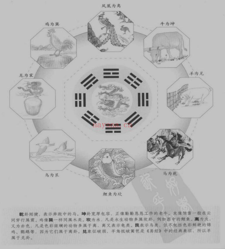 《图解梅花易数：破解天地玄秘的大智慧》.汤行易.pdf-道门学堂_道医网