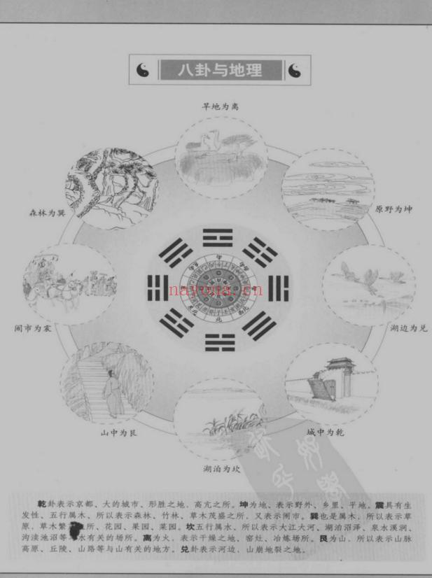 《图解梅花易数：破解天地玄秘的大智慧》.汤行易.pdf-道门学堂_道医网