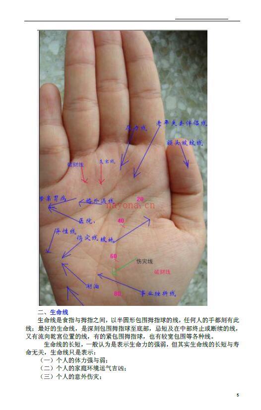 北国雪《九宫手诊法图例解析》百度网盘资源(北国雪九宫手诊实例图解)