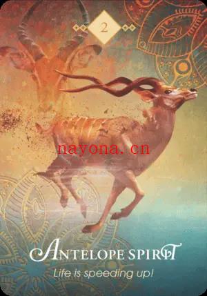 2. 羚羊之灵 Antelope Spirit