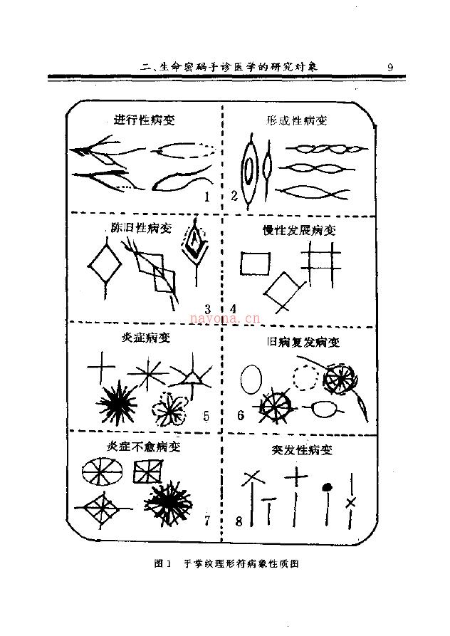 王大有 掌纹诊病实用图谱.pdf 下载 百度网盘资源