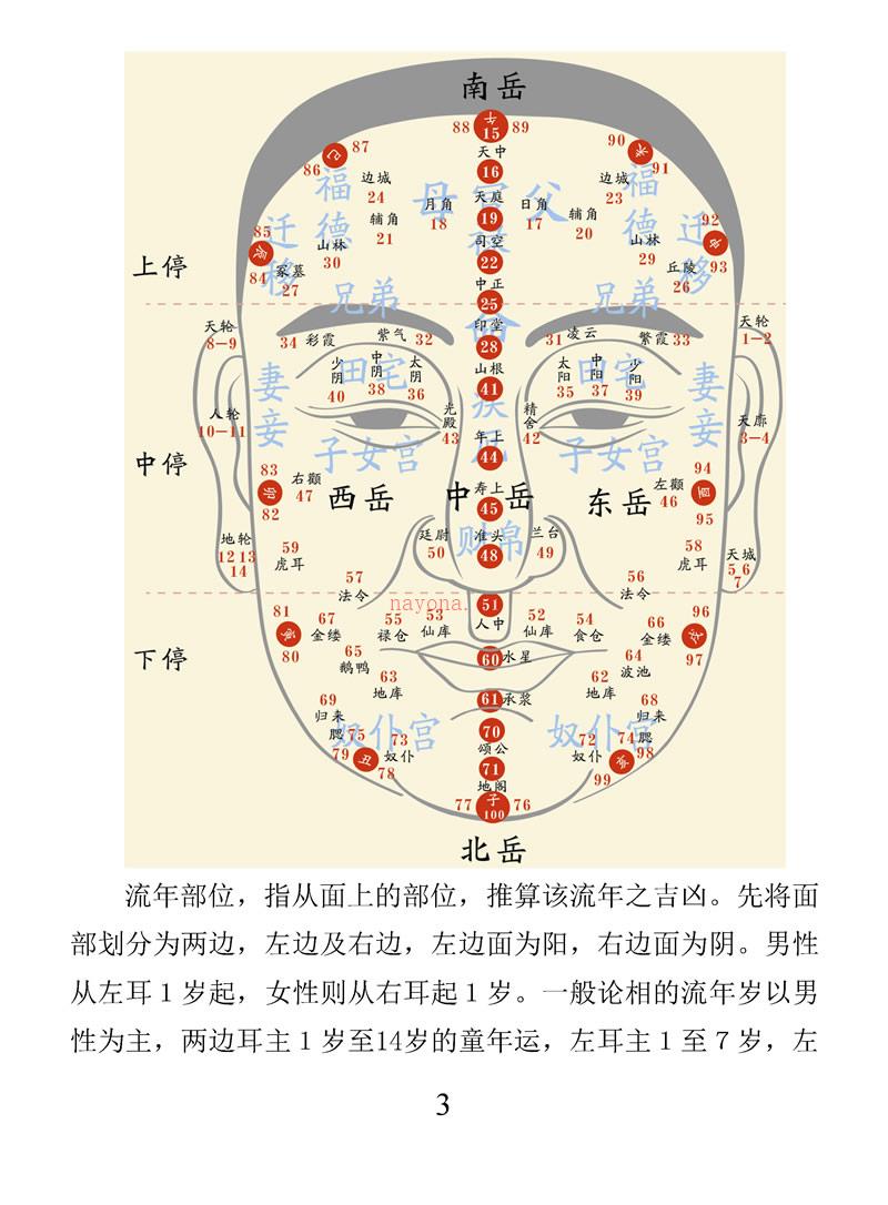 面相小教程